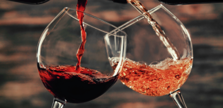 3° e ultimo focus del Trittico Vitivinicolo Veneto: presentati i dati finali ufficiali dell’ultima vendemmia