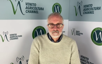 Intervista ad Antonio De Zanche di Veneto Agricoltura che presenta “Agristartup 2022” in programma domani mattina