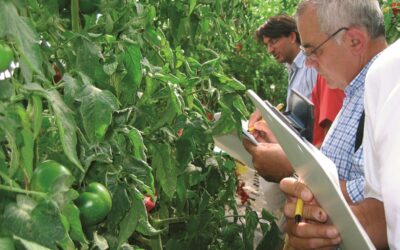 Corso di formzione a distanza di Veneto Agricoltura per i tecnici e i consulenti delle imprese del settore primario