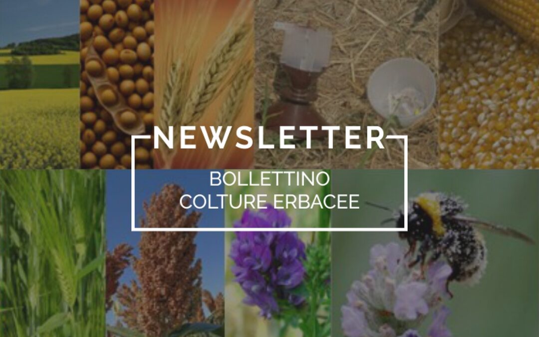 Con l’avvio del nuovo anno sono riprese le pubblicazioni del “Bollettino Colture Erbacee” curato da Veneto Agricoltura