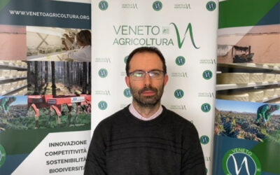 L’andamento del comparto veneto dei cereali e delle colture industriali in un’intervista a Renzo Rossetto