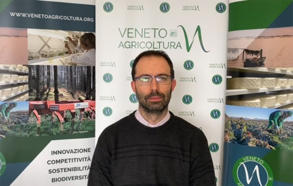 L’andamento del comparto veneto dei cereali e delle colture industriali in un’intervista a Renzo Rossetto