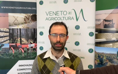 Intervista a Renzo Rossetto dell’Osservatorio di Veneto Agricoltura sull’andamento del settore orticolo veneto nel 2021