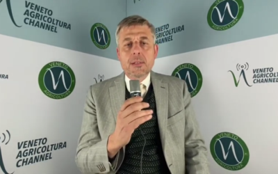 E’ stato pubblicato on line il video di presentazione del nuovo “Focus Colture Erbacee” di Veneto Agricoltura