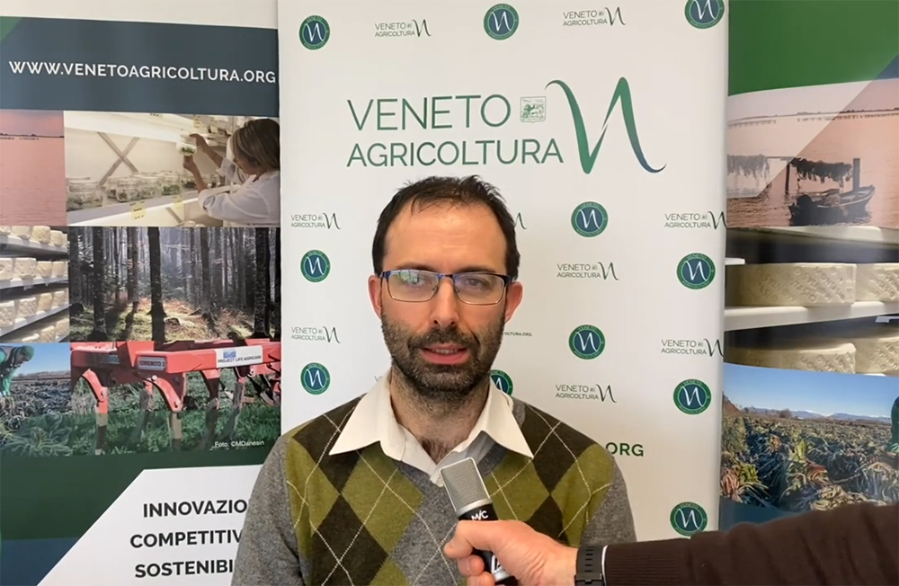 Intervista a Renzo Rossetto dell’Osservatorio di Veneto Agricoltura sull’andamento del settore orticolo veneto nel 2021