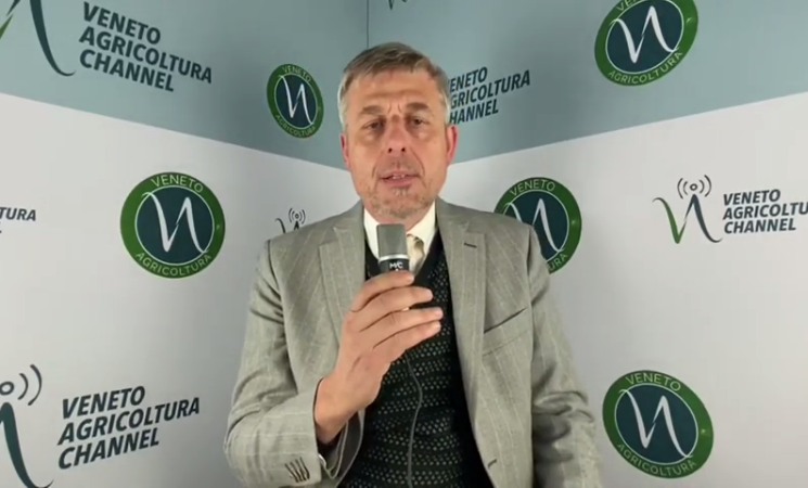 E’ stato pubblicato on line il video di presentazione del nuovo “Focus Colture Erbacee” di Veneto Agricoltura