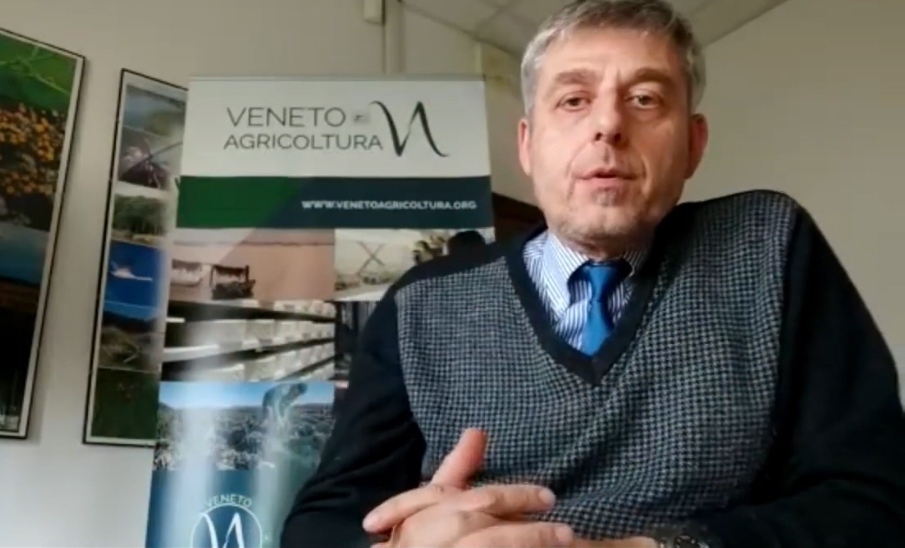 E’ stato pubblicato on line il video di aggiornamento settimanale del “Focus Colture Erbacee” di Veneto Agricoltura