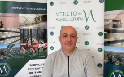 Intervista a Nicola Severini di Veneto Agricoltura sull’andamento del settore veneto della pesca nel 2021