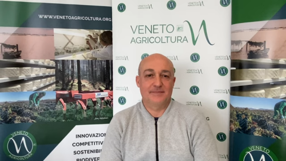 Intervista a Nicola Severini di Veneto Agricoltura sull’andamento del settore veneto della pesca nel 2021