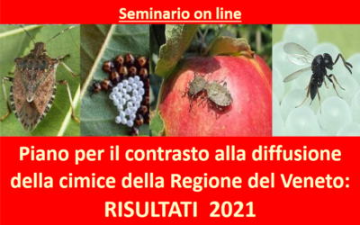 Presentazione dei risultati delle azioni di contrasto alla diffusione della cimice asiatica e di altri insetti dannosi