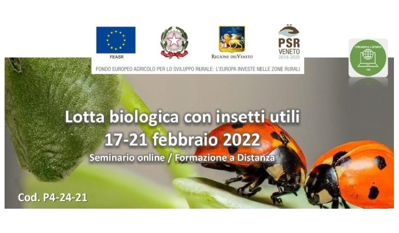 Nell’ambito del Piano di Sviluppo Rurale seminario di formazione on line sulla lotta biologica con insetti utili