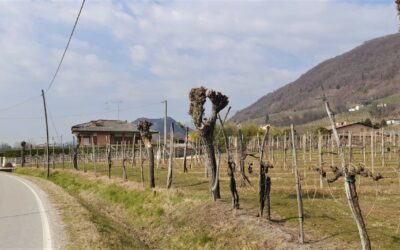 Intervento di ATS a Pieve di Soligo per la tutela ambientale del territorio ai piedi della core zone dell’UNESCO