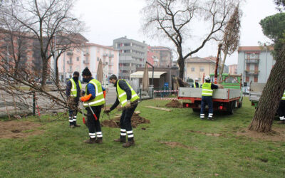 Contro i cambiamenti climatici e per una città più bella e vivibile AMIA ha piantato 400 alberi in due mesi a Verona