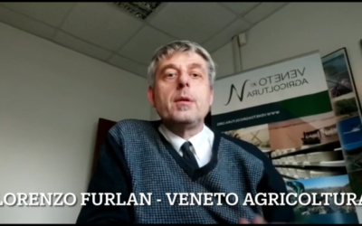 L’agenzia Veneto Agricoltura ha pubblicato on line l’ultimo video di aggiornamento settimanale del “Focus Colture Erbacee”