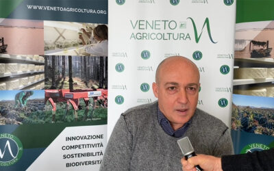 Intervista a Nicola Severini di Veneto Agricoltura sull’andamento del settore veneto vitivinicolo lo scorso anno