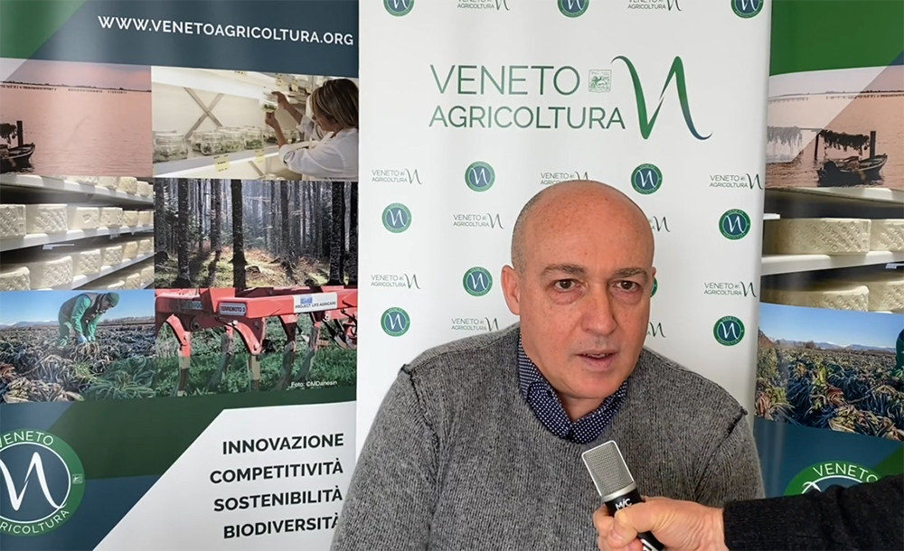 Intervista a Nicola Severini di Veneto Agricoltura sull’andamento del settore veneto vitivinicolo lo scorso anno