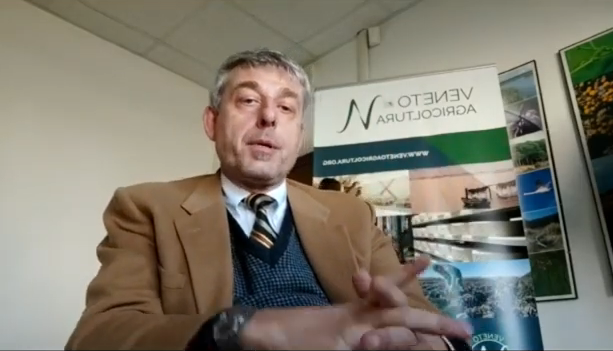 E’ on line l’ultimo video di aggiornamento settimanale del “Focus Colture Erbacee” dell’agenzia Veneto Agricoltura