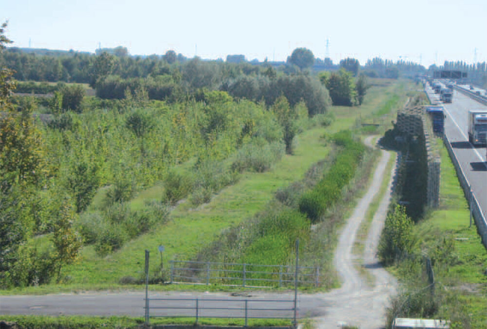 Passante di Mestre: domani cantiere dimostrativo di Veneto Agricoltura e CAV sulle bande boscate fonoassorbenti