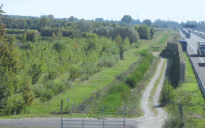 Passante di Mestre: domani cantiere dimostrativo di Veneto Agricoltura e CAV sulle bande boscate fonoassorbenti