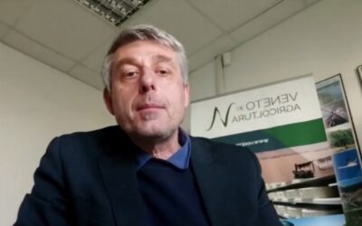 L’agenzia Veneto Agricoltura ha pubblicato on line l’ultimo video di aggiornamento settimanale del “Focus Colture Erbacee”