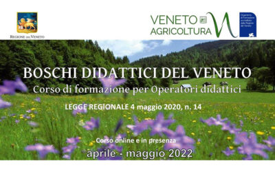 Tra maggio e giugno un corso per la formazione della figura di “Operatore dei Boschi didattici del Veneto”