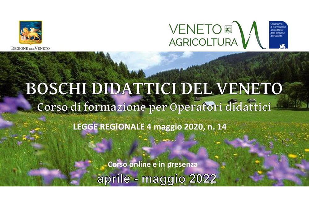 Tra maggio e giugno un corso per la formazione della figura di “Operatore dei Boschi didattici del Veneto”